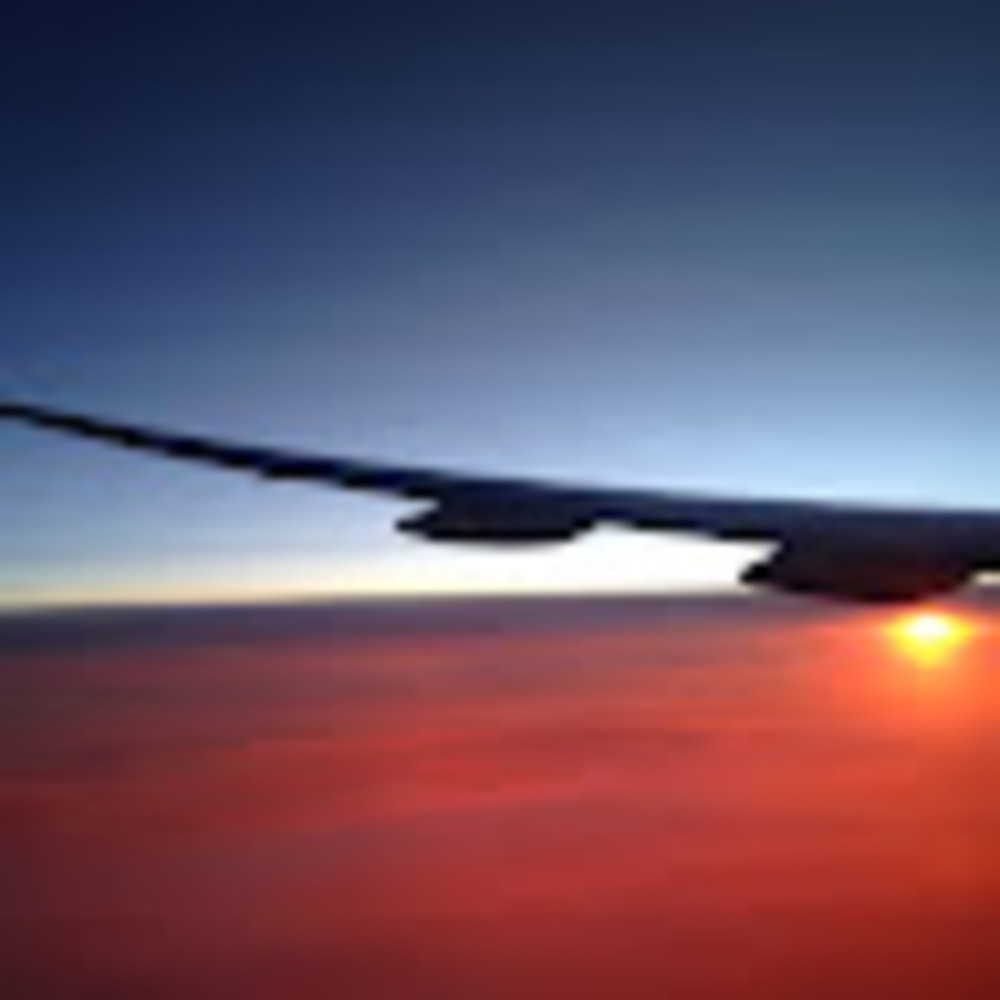 Meet your Posher, Lillian